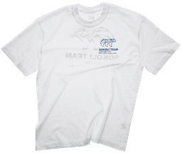 Tričko Sokoli team - TrickoSokW/S